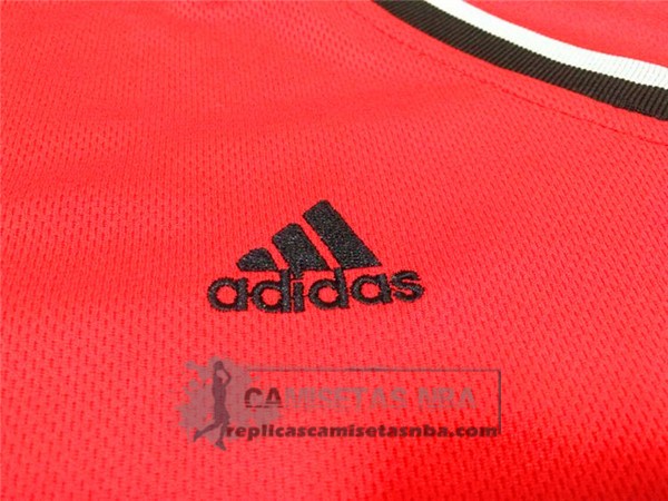 Camiseta Manga Corta Bulls Jordan Rojo